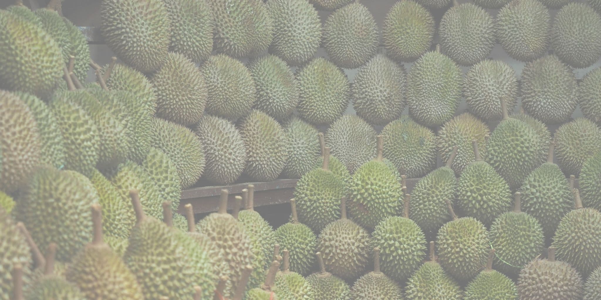 DurianGold Background